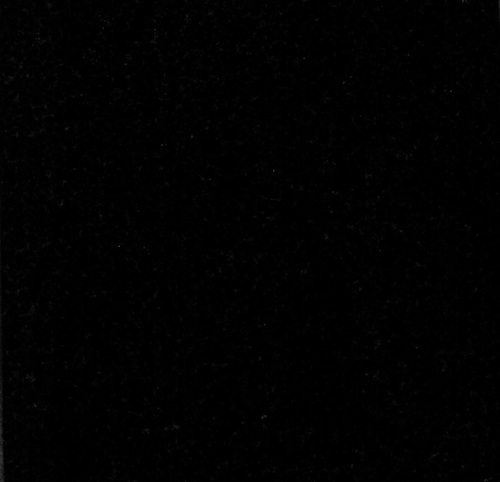 Bengal Black
