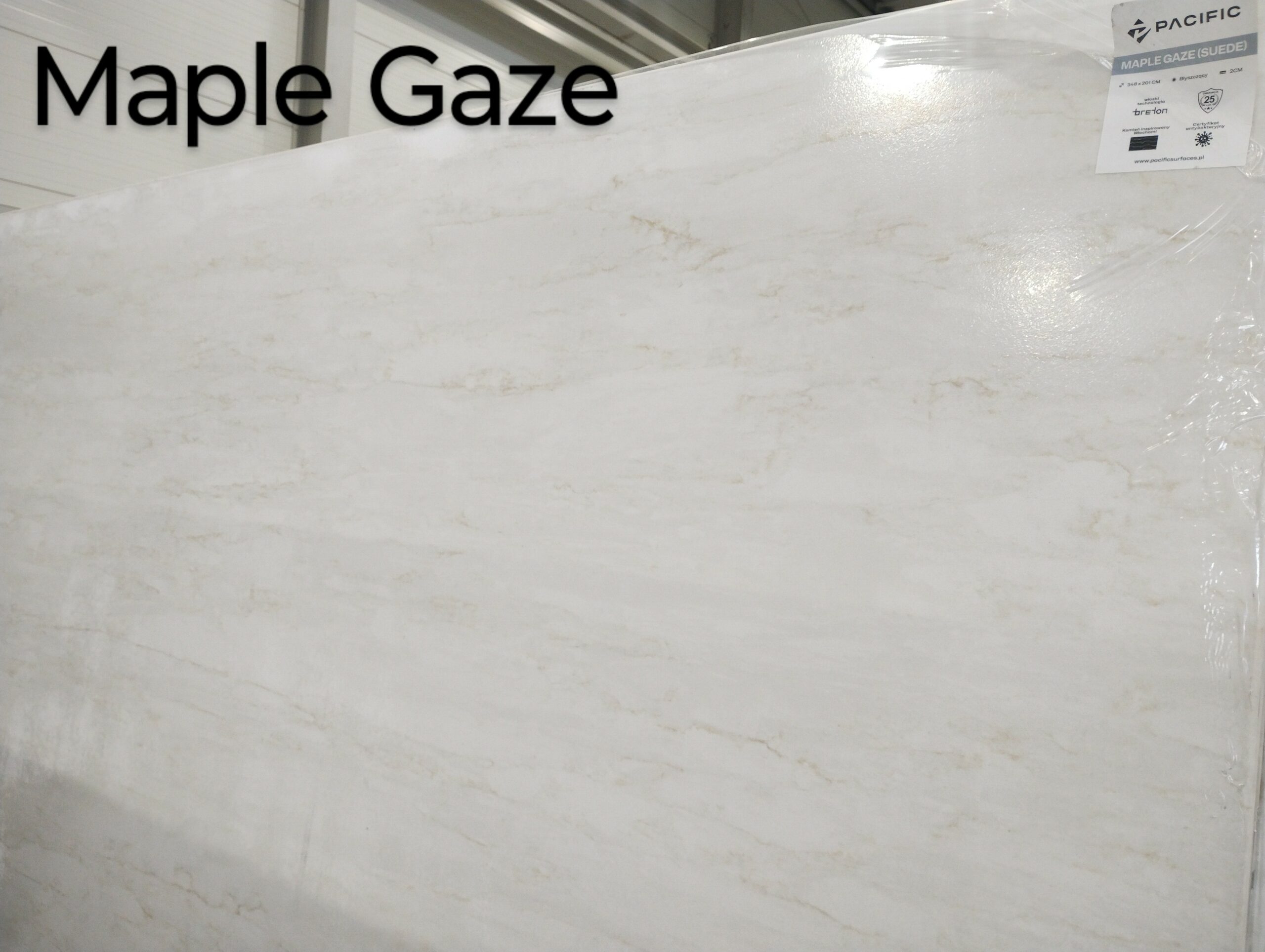 Maple Gaze